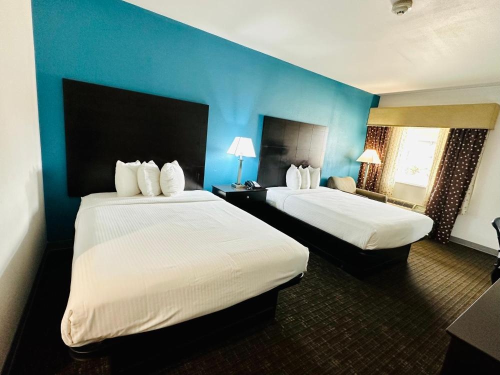 Single Room - Disability Access